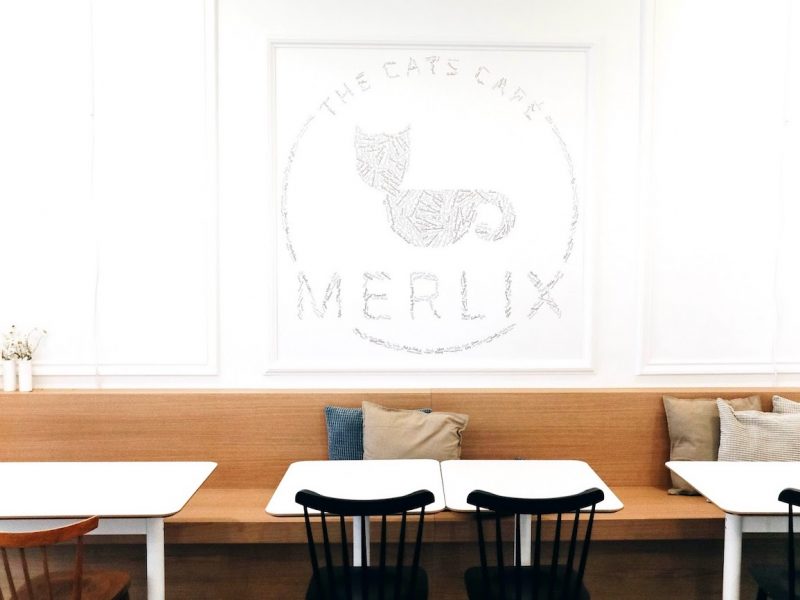 Merlix Cats café