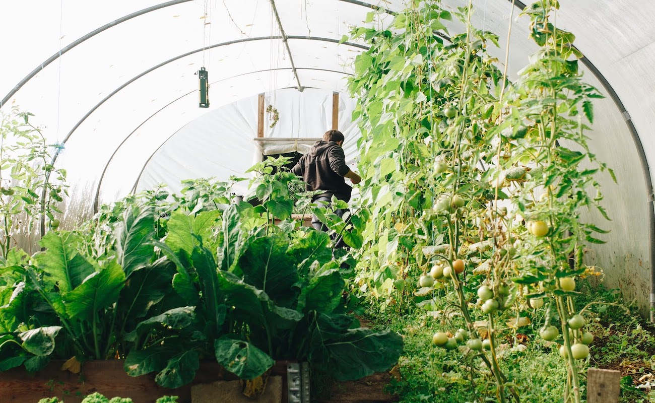 attention avoir un potager peut présenter des risques