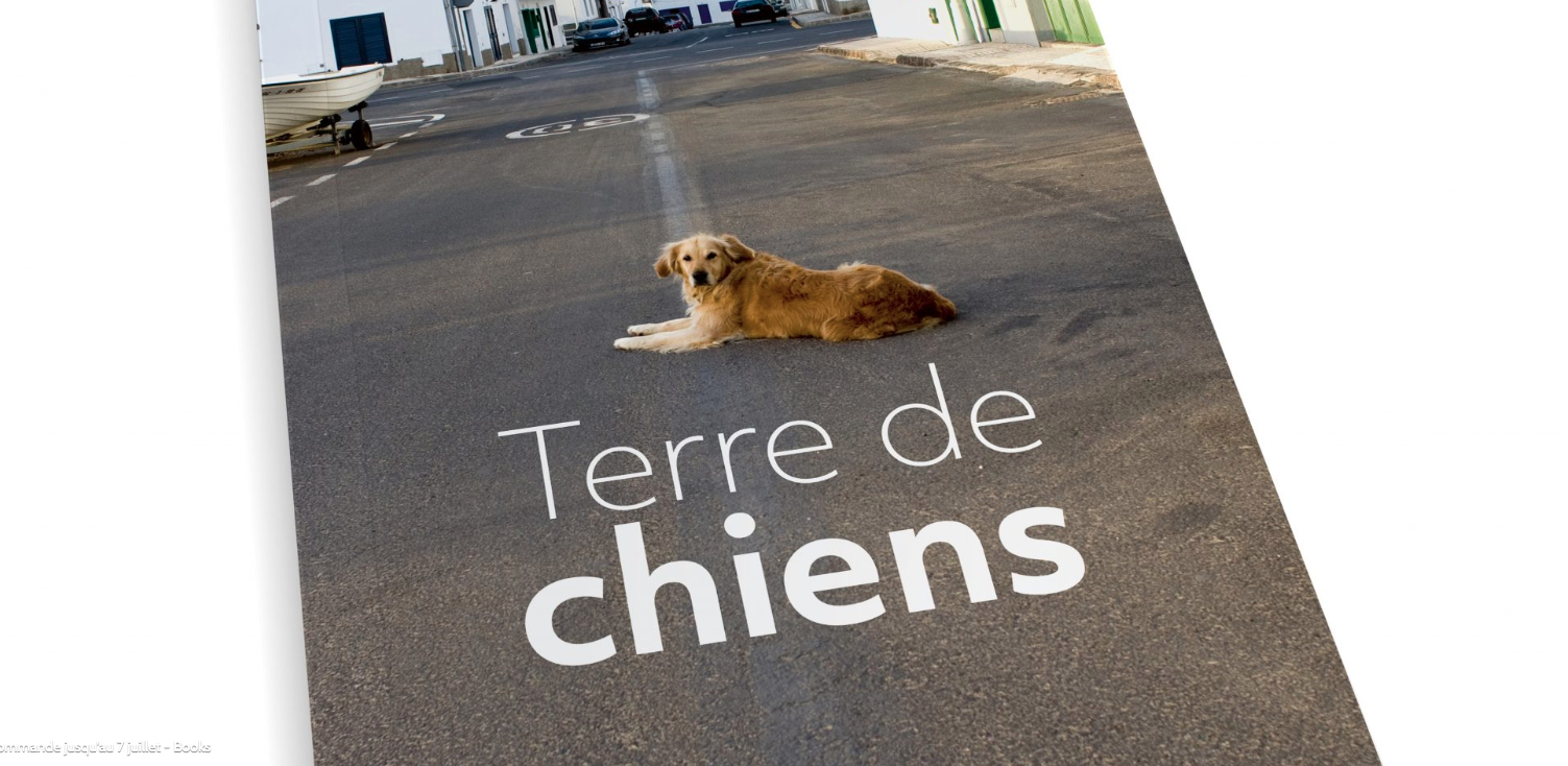 terre de chiens - cédric ballarati