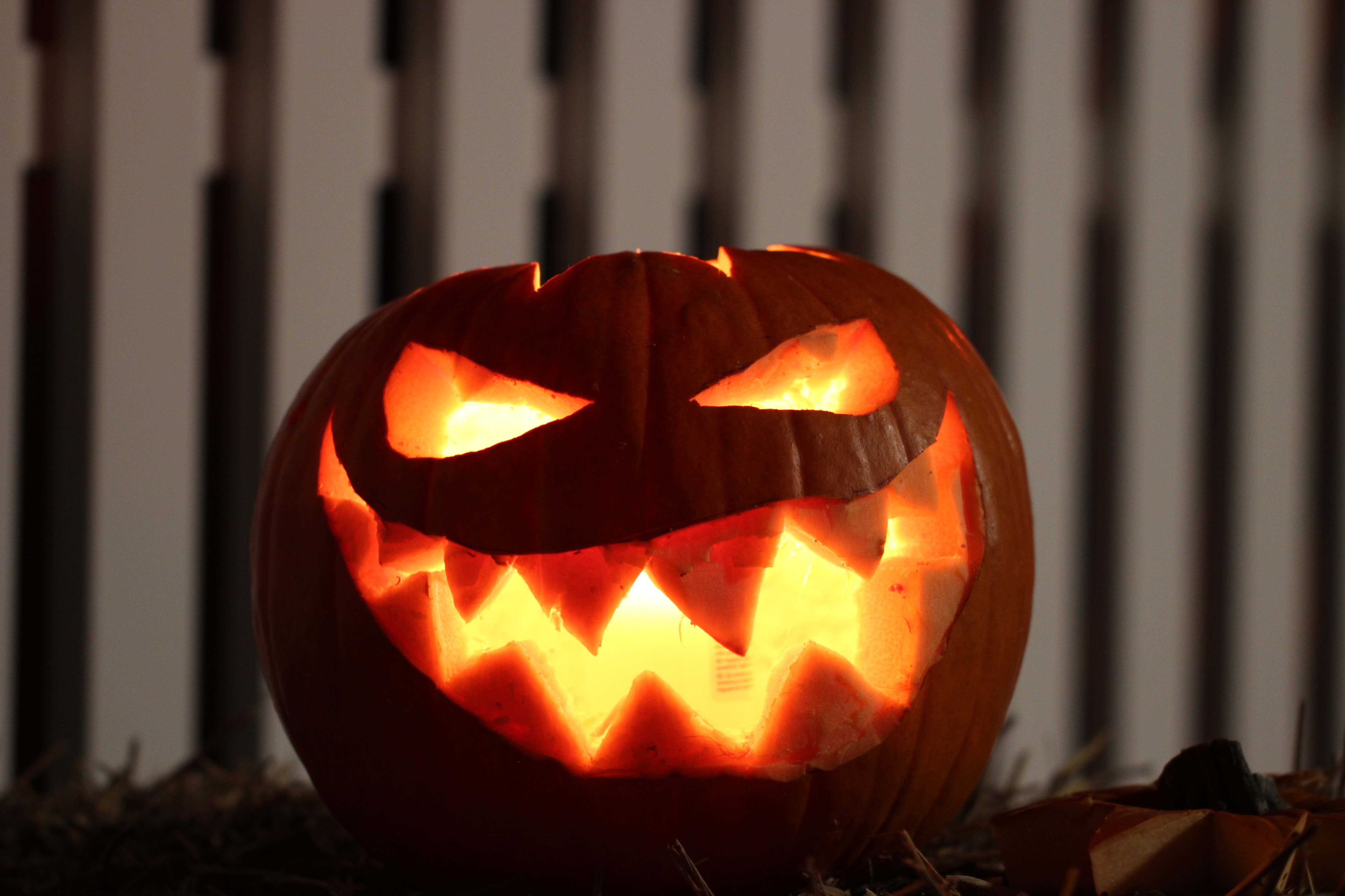 Halloween - Pixabay