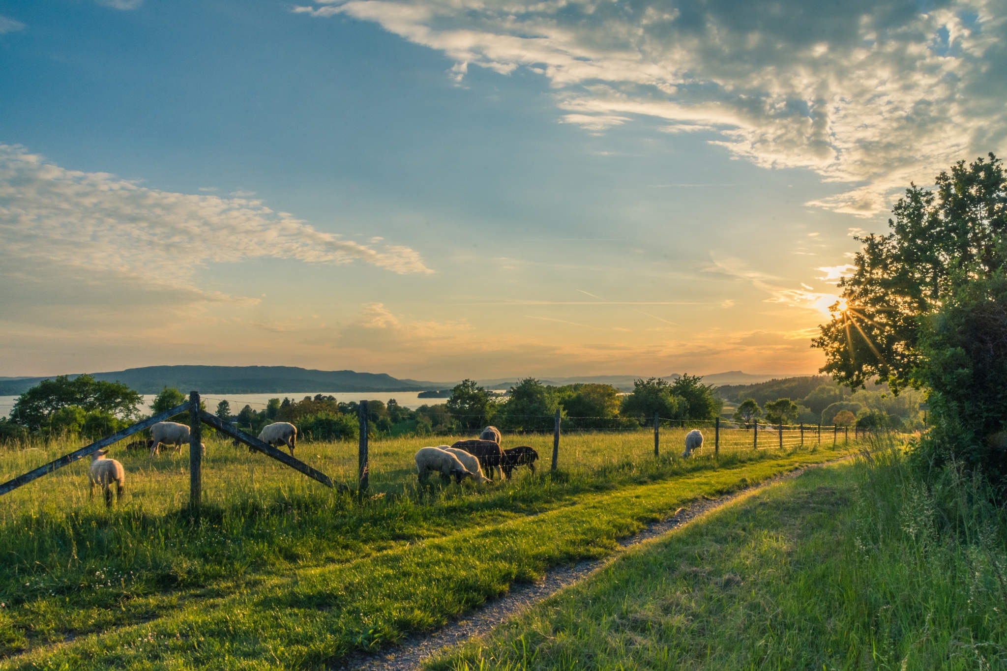 campagne neupré pixabay