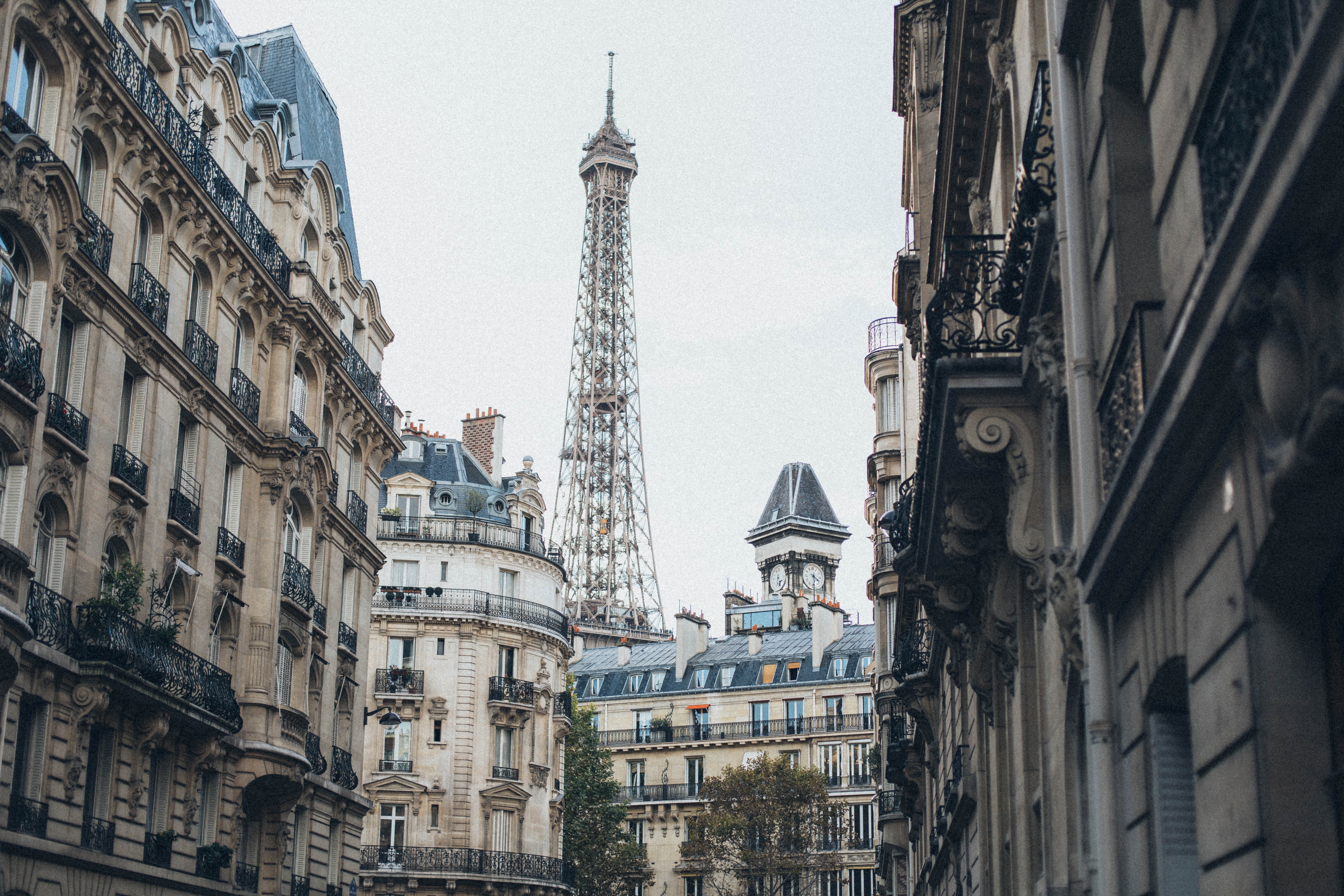 paris - unsplash -elena sazonova