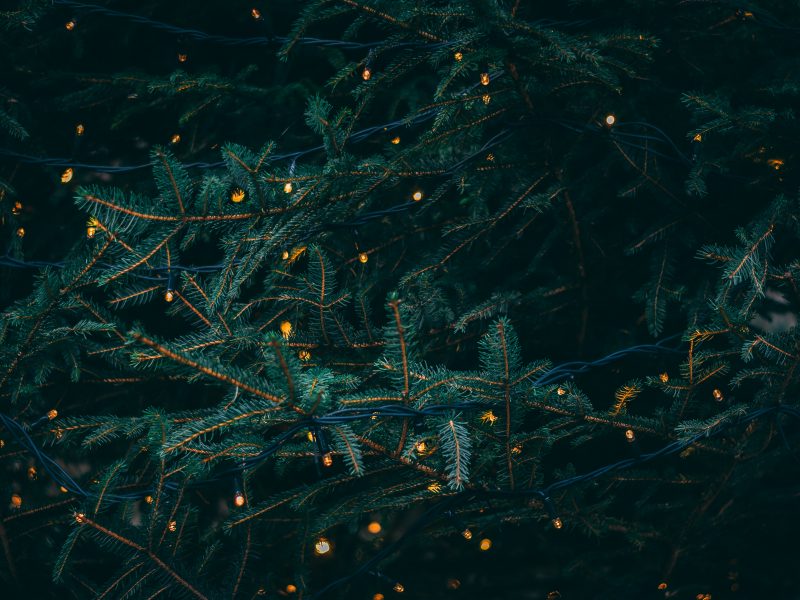 films noël unsplash