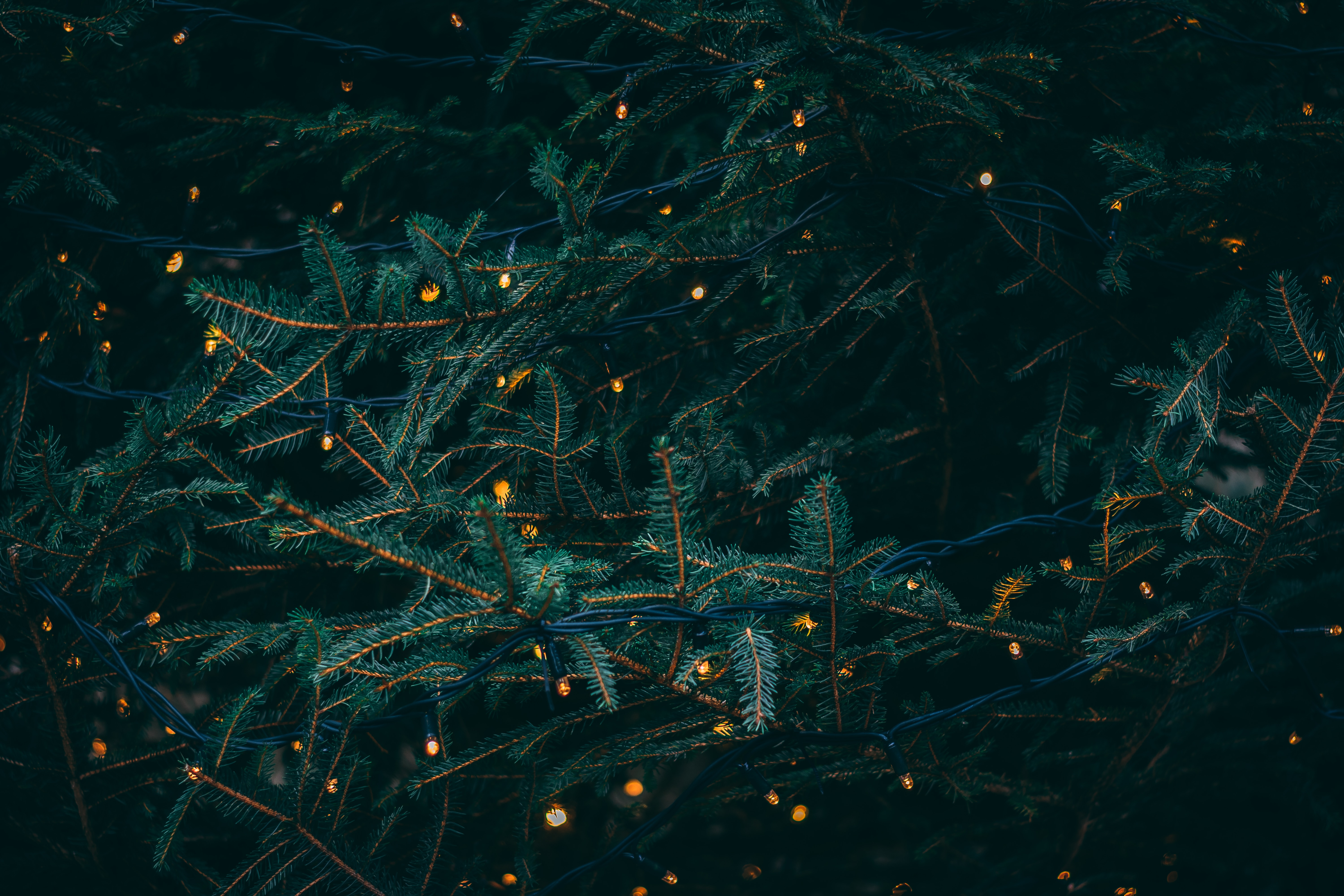 films noël unsplash