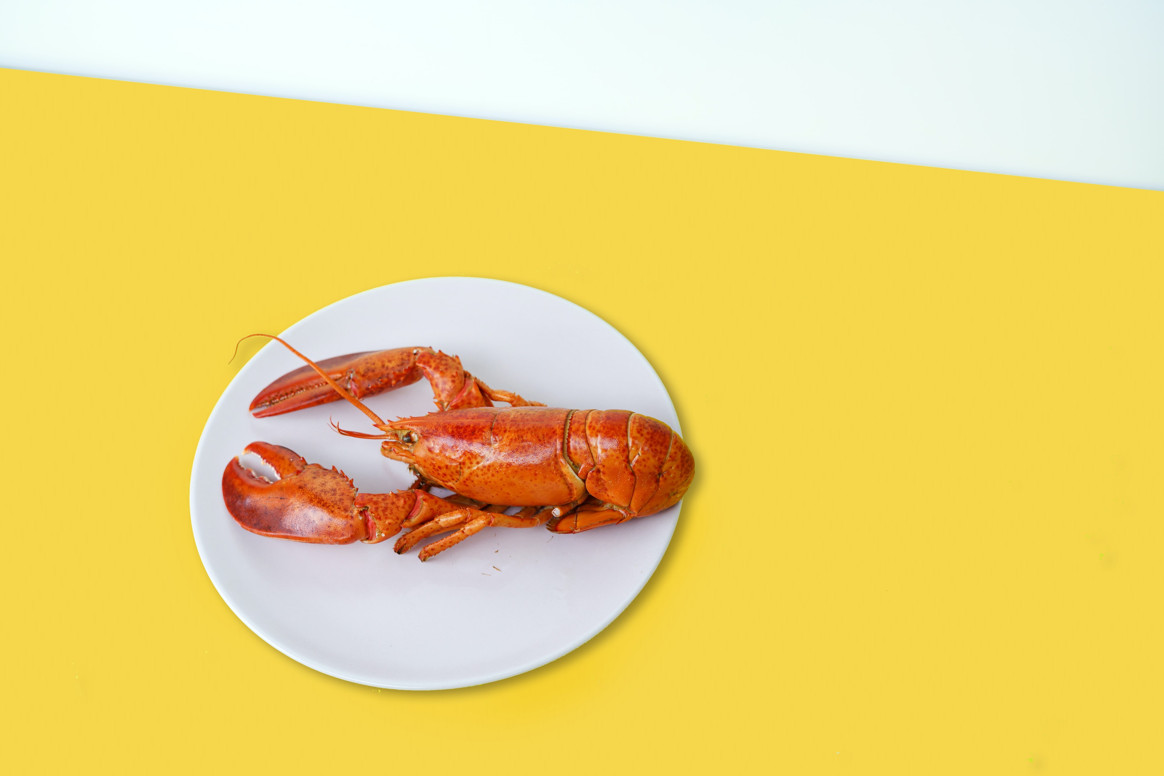 Le Maccheroni livre ses pâtes au homard - Unsplash - Toa heftiba