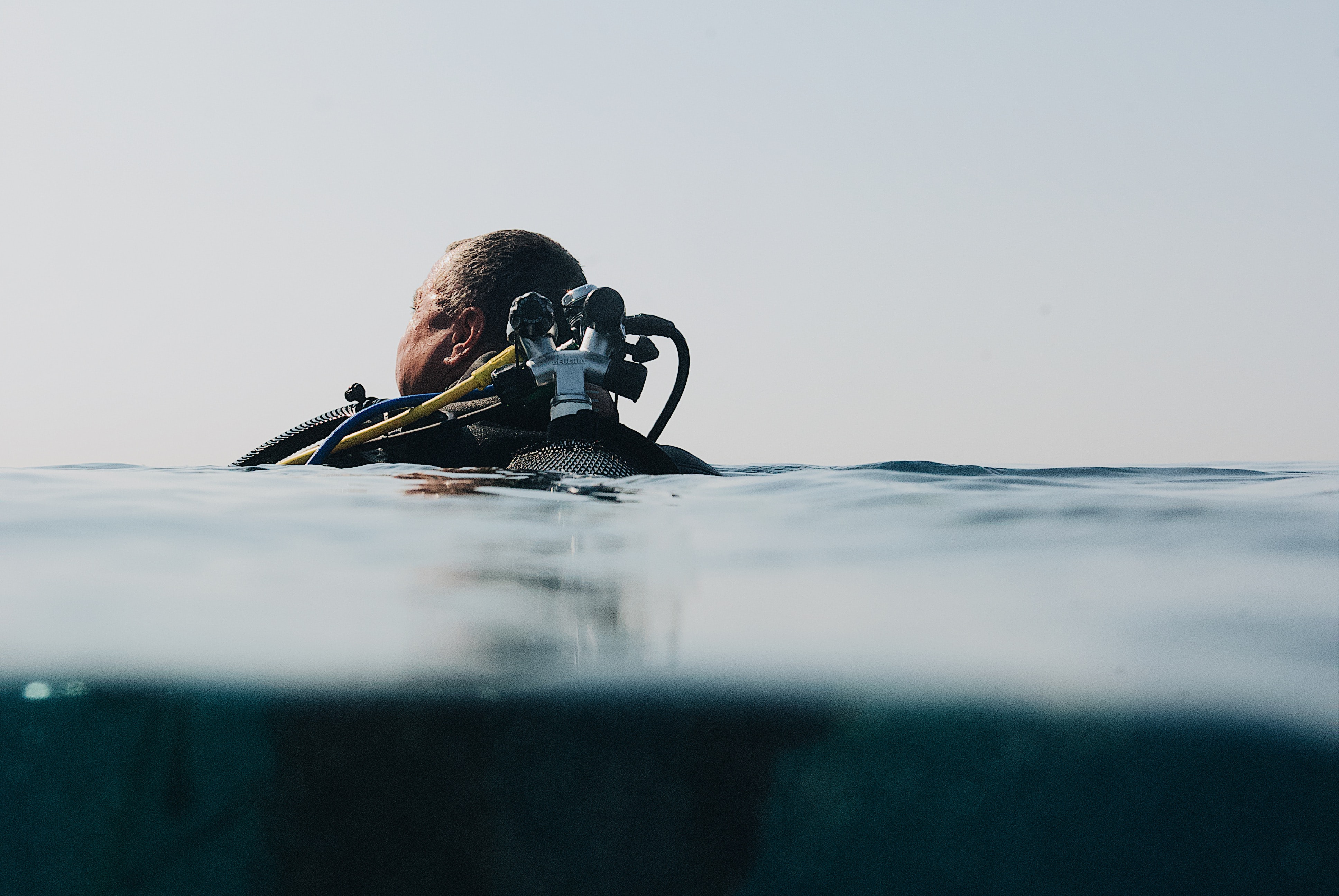 Plongée à la Gombe - Unsplash