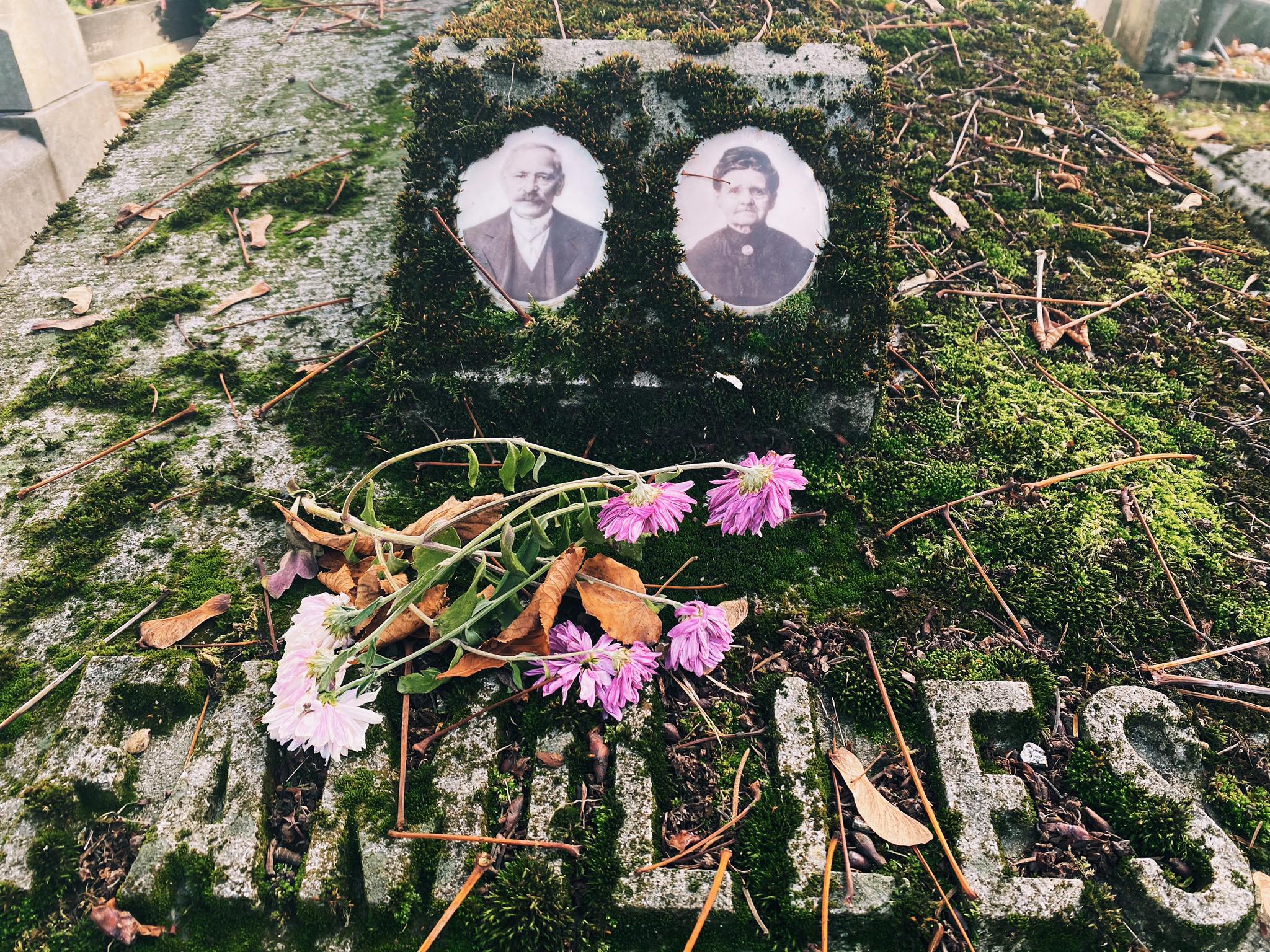 Cimetière de sainte-walburge - Liège - médaillons funéraires - DR Boulettes Magazine