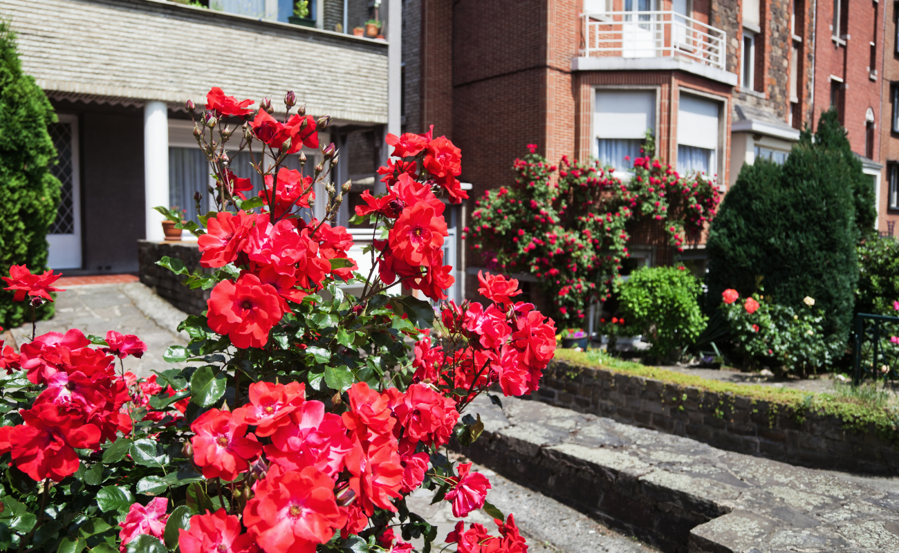 Liège met le patrimoine et les Liégeoises à l'honneur - Canva DR Boulettes Magazine