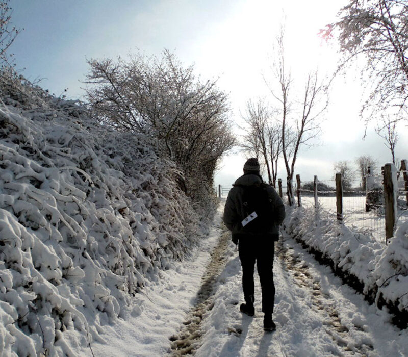 La ferme des loups