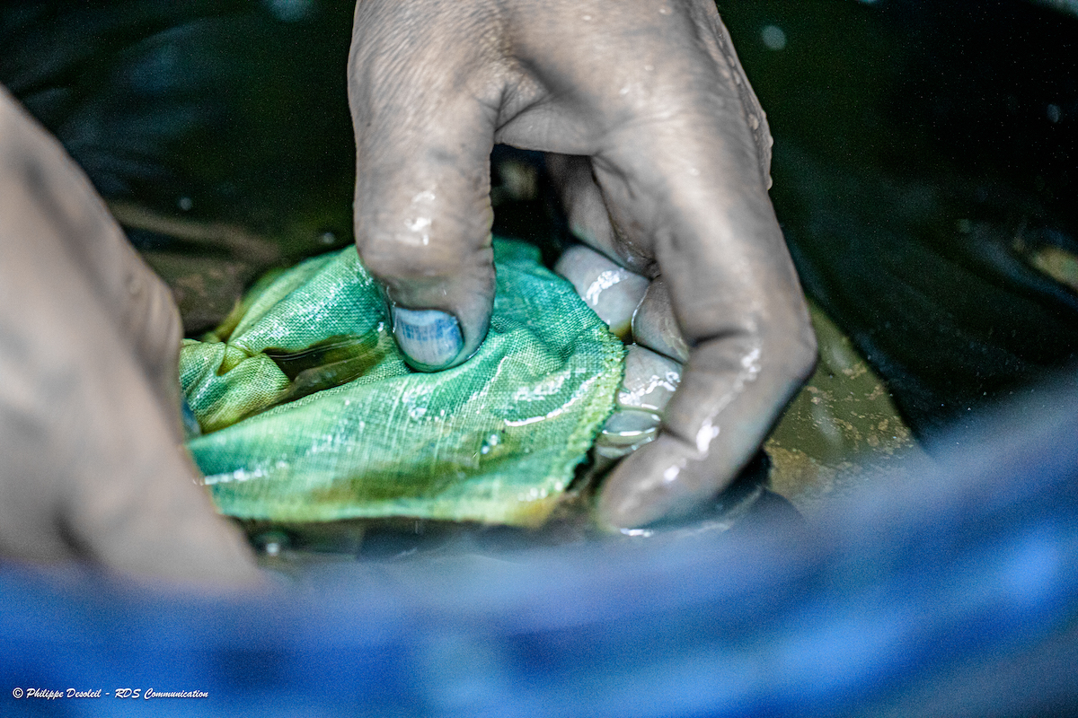 Peaux de pêche : du cuir de poisson made in Liège • Boulettes Magazine