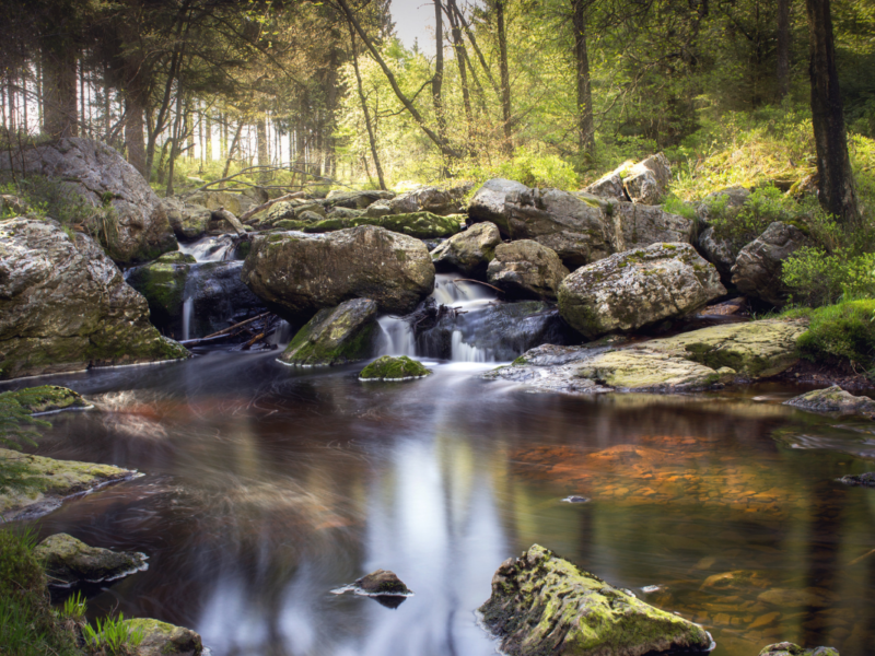 vallée de la hoëgne hautes-fagnes pepinster DR Boulettes Magazine Canva