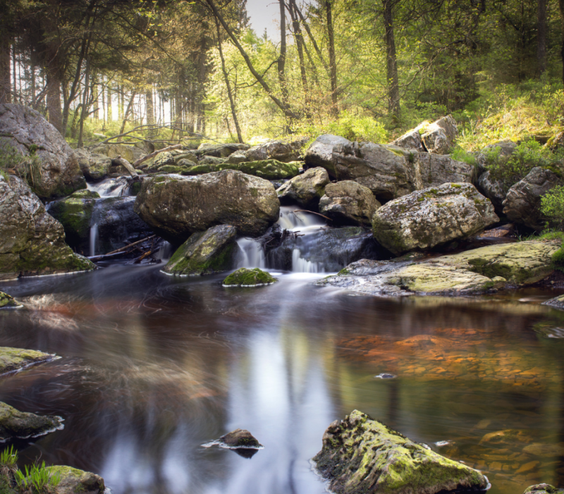 vallée de la hoëgne hautes-fagnes pepinster DR Boulettes Magazine Canva