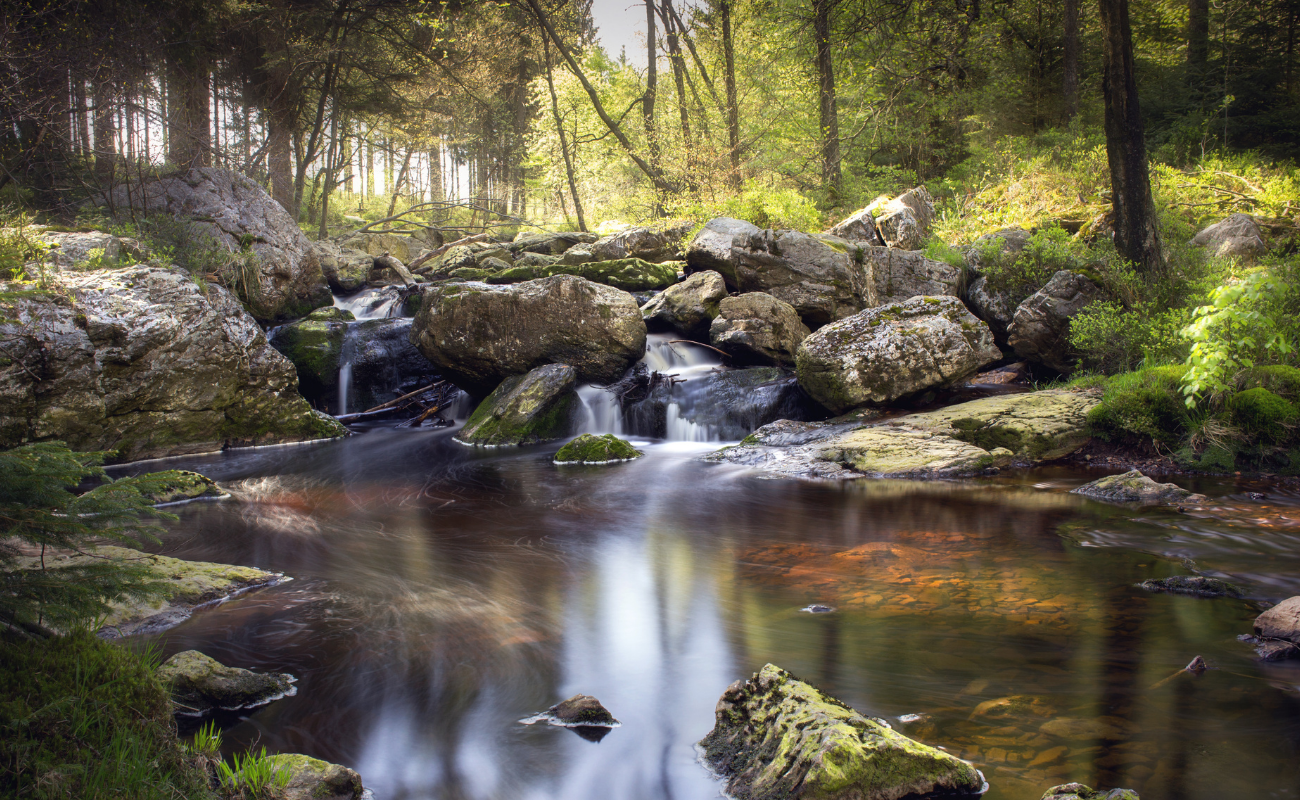 vallée de la hoëgne hautes-fagnes pepinster DR Boulettes Magazine Canva