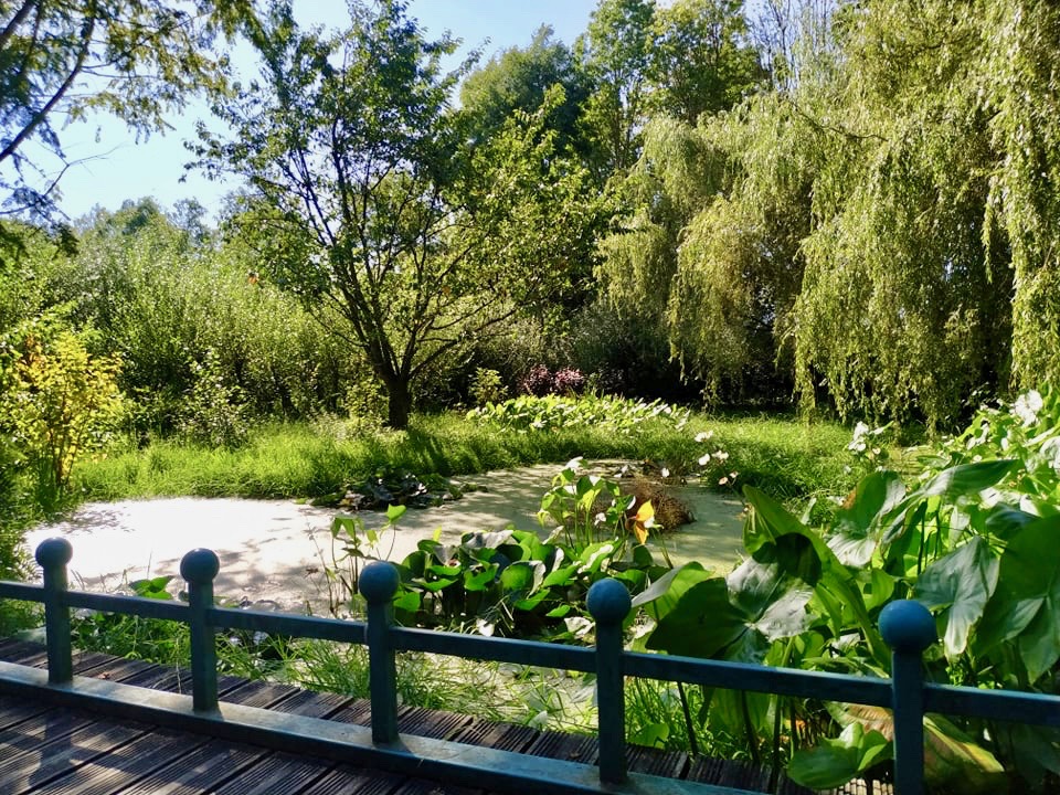 Lac de Bambois