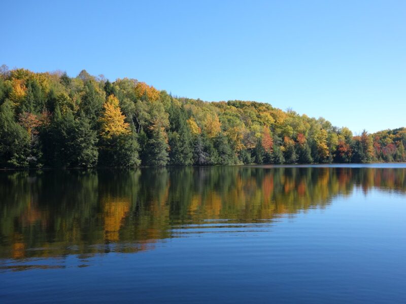 Lac de Bambois