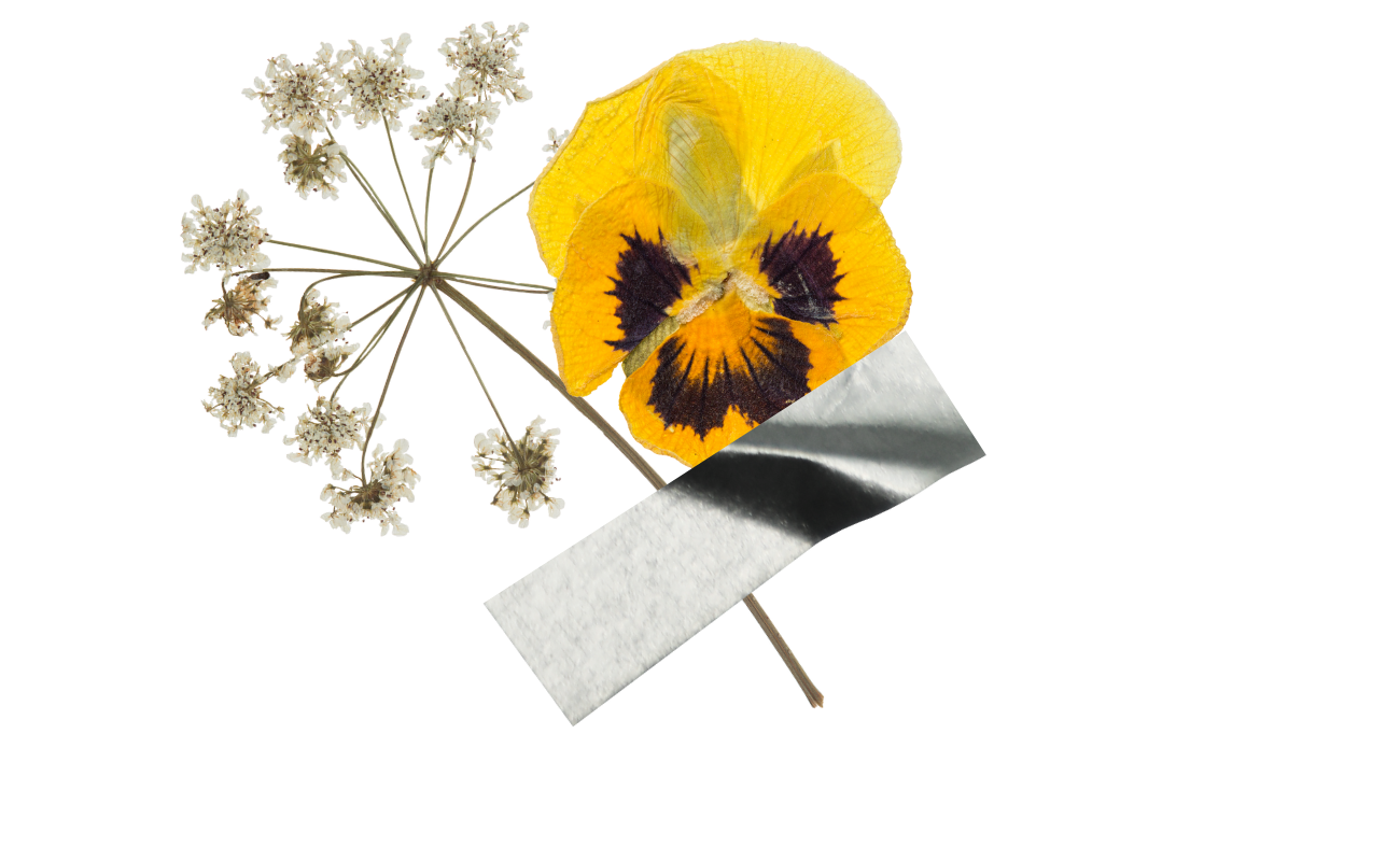 Liège rend hommage aux victimes du Coronavirus COVID DR Boulettes Magazine