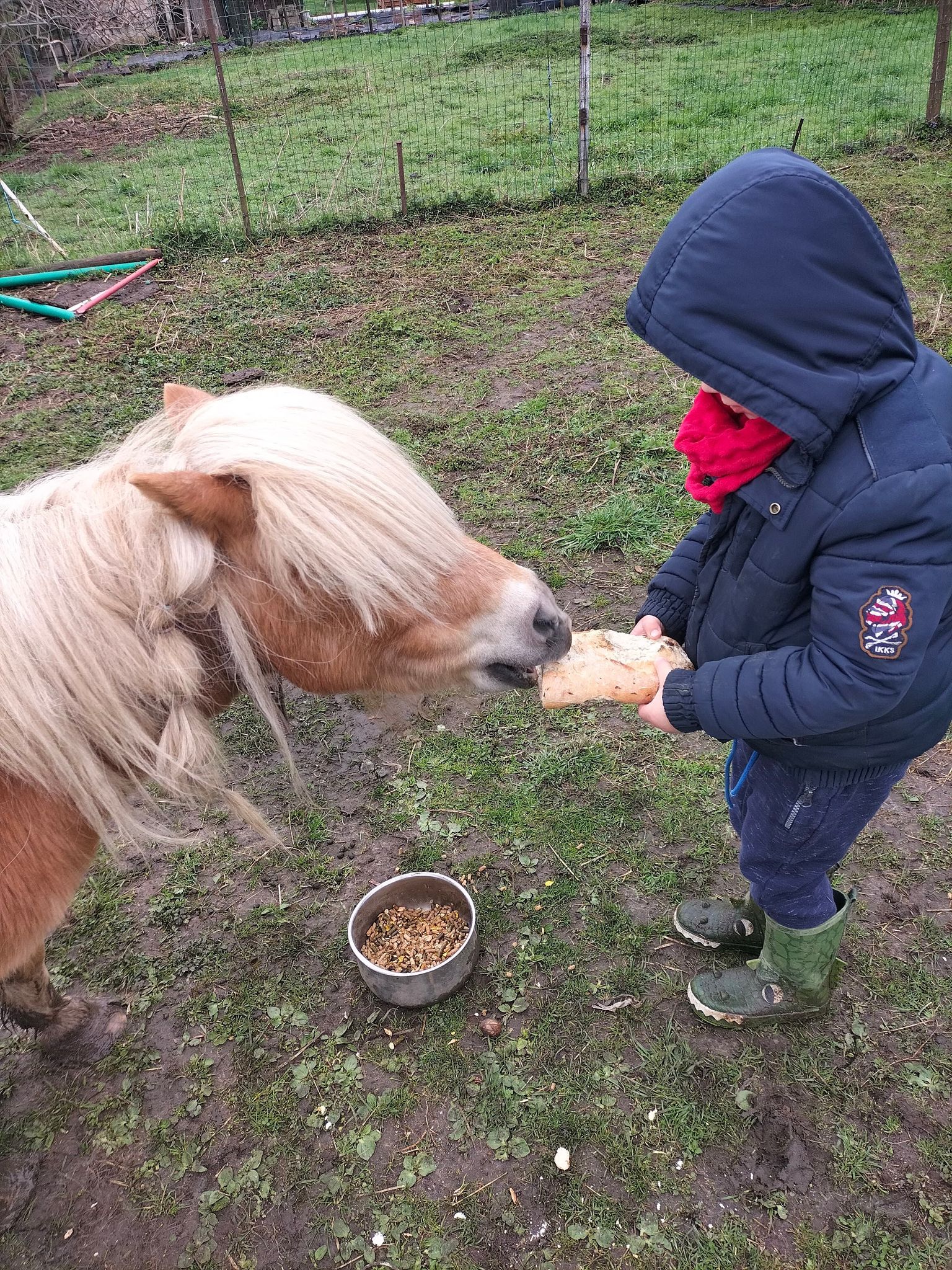 Initiation au bricolage aux ateliers de Flore DR Stage pour enfants Liège Basse-Meuse Haccourt