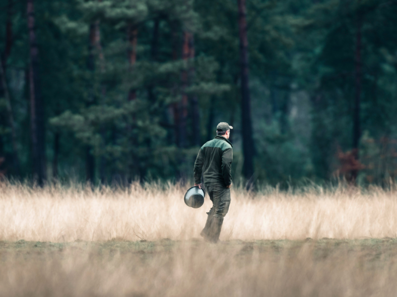 Une journée avec un garde-forestier dans les Hautes Fagnes - DR Boulettes Magazine Unsplash