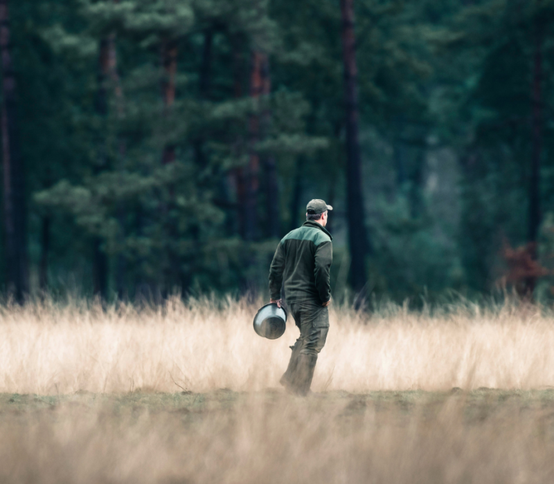 Une journée avec un garde-forestier dans les Hautes Fagnes - DR Boulettes Magazine Unsplash