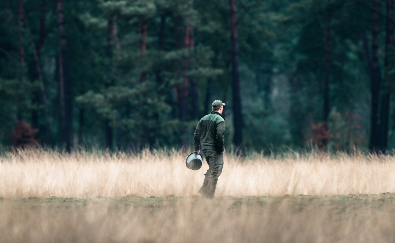 Une journée avec un garde-forestier dans les Hautes Fagnes - DR Boulettes Magazine Unsplash