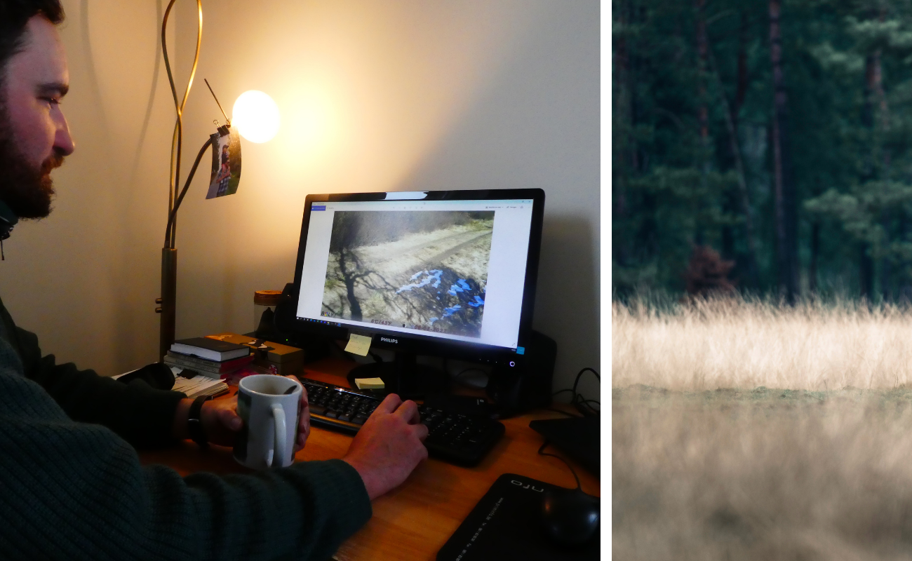 Pièges caméra chasse Hautes Fagnes garde-forestier DR