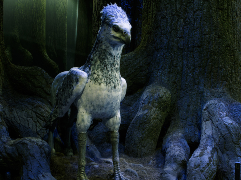 La forêt interdite arrive en Belgique DR Warner Bros