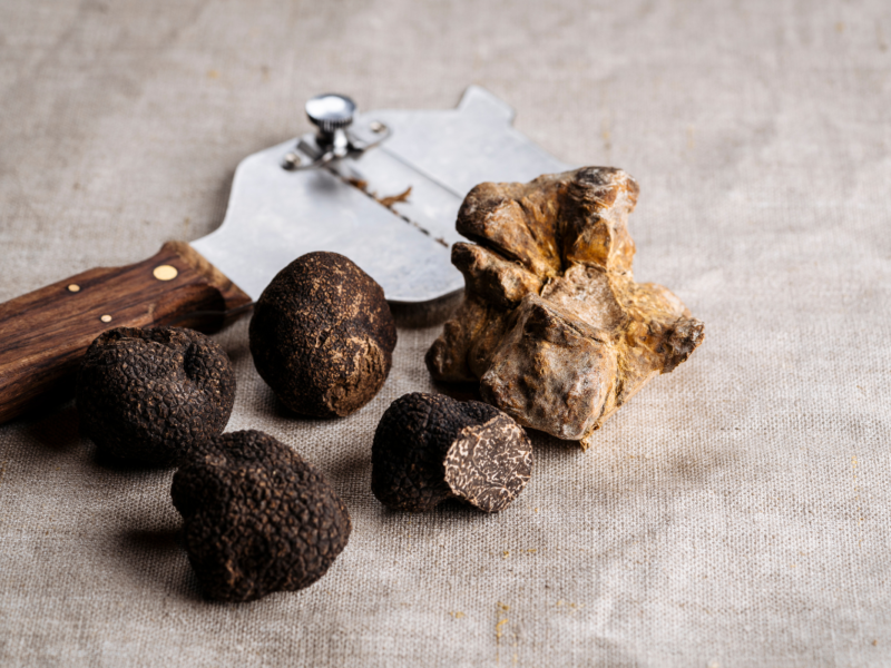 truffe