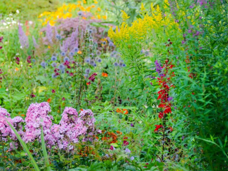 Jardin Ressources