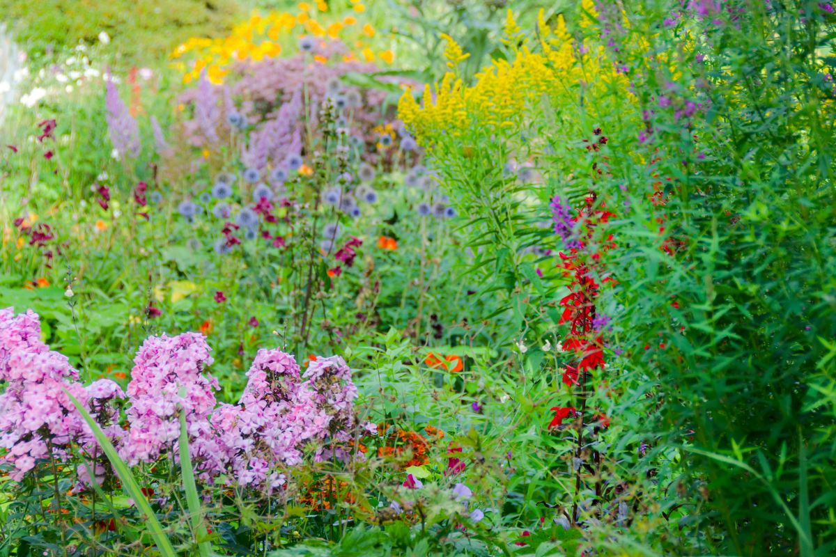 Jardin Ressources