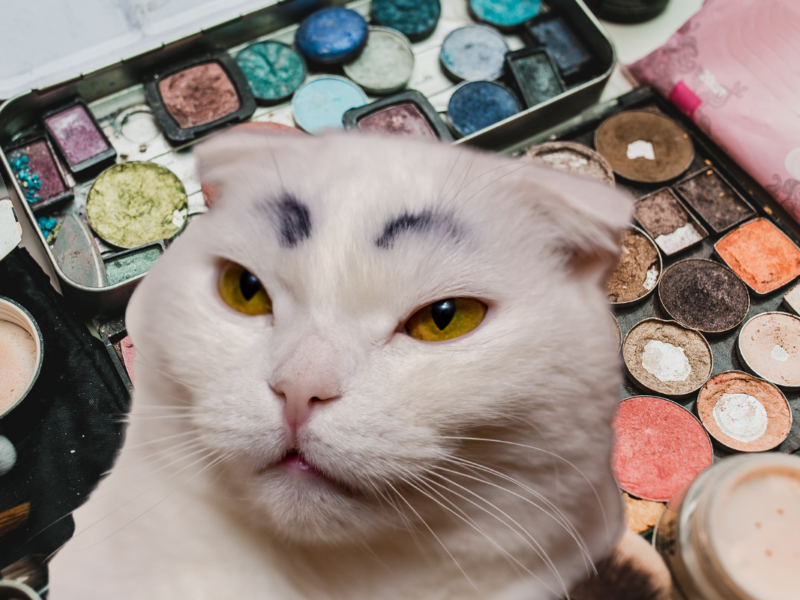 3 femmes racontent leur pire mésaventure beauté - Montage Boulettes Magazine