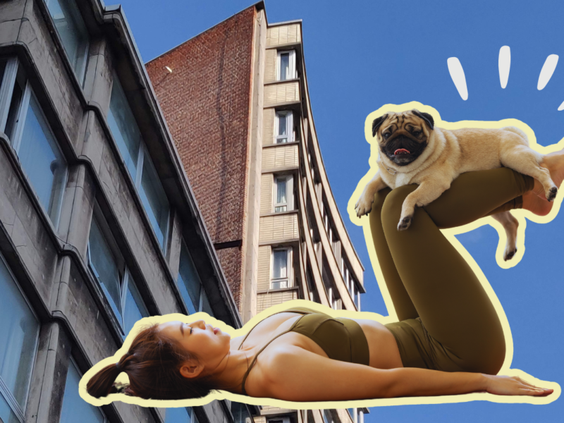 puppy yoga liège