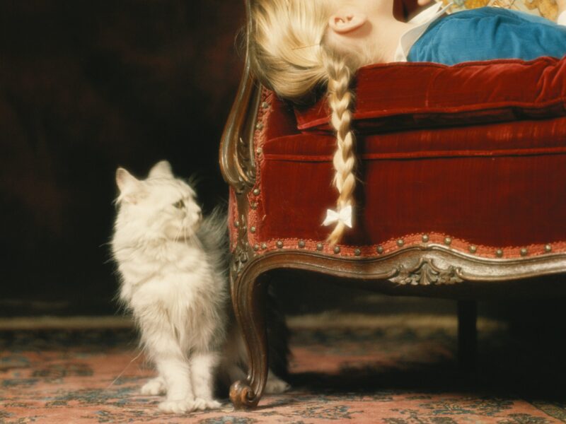 meilleurs livres hiver 2025 pax liège