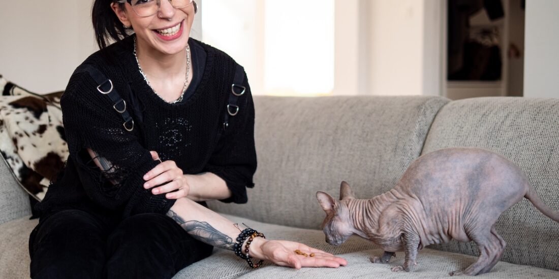 sherilyn feeling félin comportementaliste féline liège chats catsitting