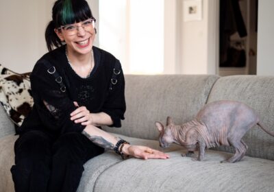 sherilyn feeling félin comportementaliste féline liège chats catsitting