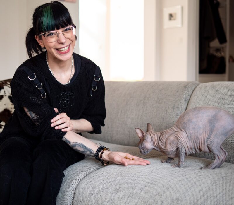 sherilyn feeling félin comportementaliste féline liège chats catsitting